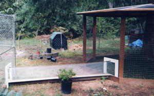 outdoor cat enclosure tunnel